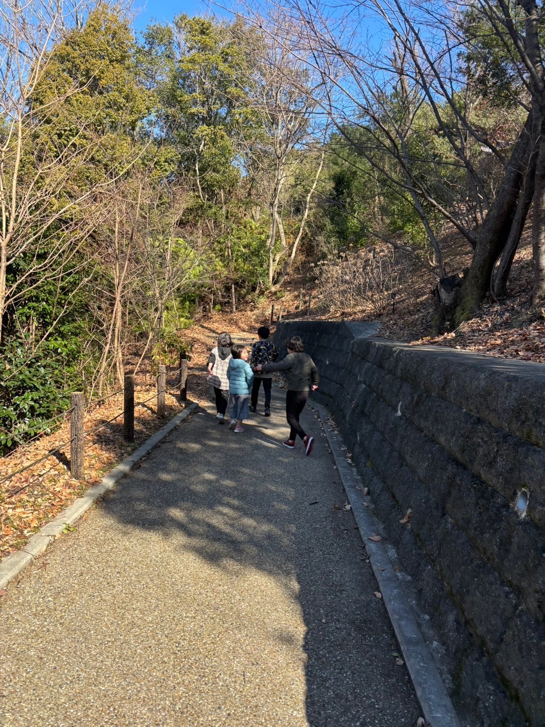 大阪市浪速区の放課後等デイサービスオハナピース大阪日本橋の永楽ゆめの森公園へお出かけ